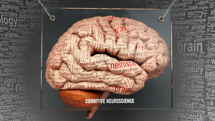 Cognitive neuroscience in human brain - dozens of terms describing its properties painted over the brain cortex to symbolize its connection to the mind.,3d illustration - obrazy, fototapety, plakaty