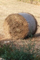 bales of hay