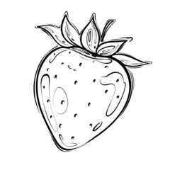 Strawberry doodle berry black outline isolated on white background