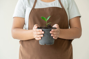 Woman carrying black plant pot gardening at home decorate your house with small growing plant.