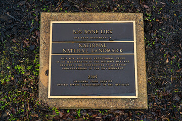Big Bone Lick State Historic Site