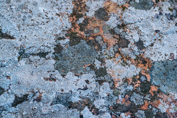 Rocky Texture Background