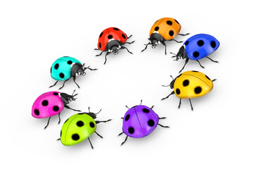 Circle Row of Multicolor Realistic Beautiful Ladybirds. 3d Rendering