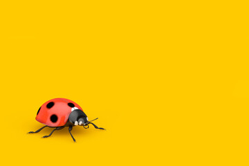 Red Realistic Beautiful Ladybird. 3d Rendering