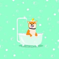 Dog in bath. Dog bathing or dog spa concept. Vector EPS 10 illustration.