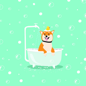 Dog In Bath. Dog Bathing Or Dog Spa Concept. Vector EPS 10 Illustration.