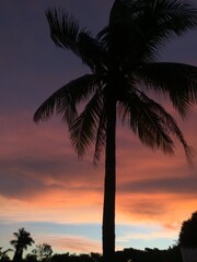 Obraz premium Cada entardecer, é sinal de que um novo amanhecer esta por vir