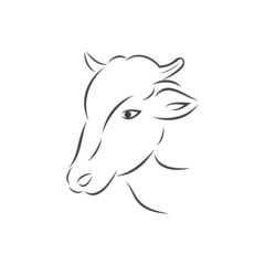 Fototapeta na wymiar cow logo vector