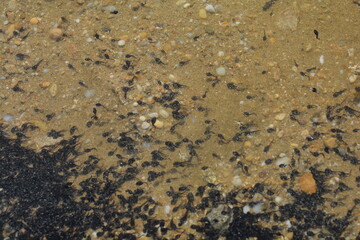 texture of a stone