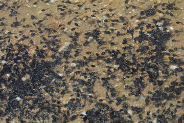 texture of a stone