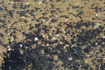 texture of a stone