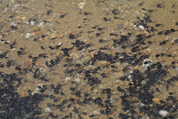 texture of a stone