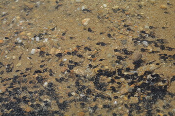 texture of a stone