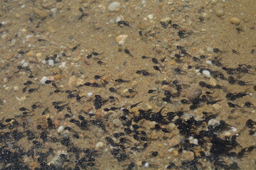 texture of a stone