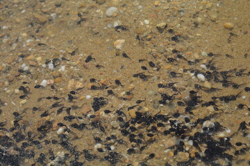texture of a stone