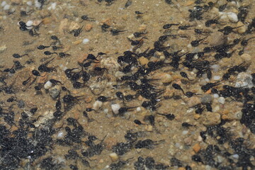 texture of a stone