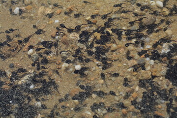texture of a stone
