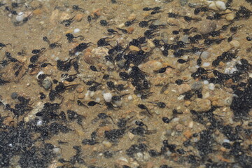 texture of a stone