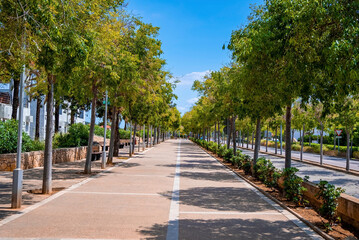 Empty road amidst row of trees. Diminishing pathway in city. Street with road markings amidst nature against blue sky during summer.