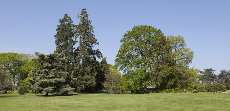 Parc du Thabor &agrave; Rennes