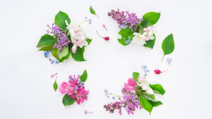 Frame of their different delicate spring flowers