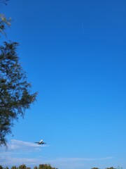 Airplane in the sky. Landing at the aiport. Tree and airplane