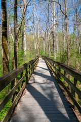 Boardwalk at Mammoth Cave National Park