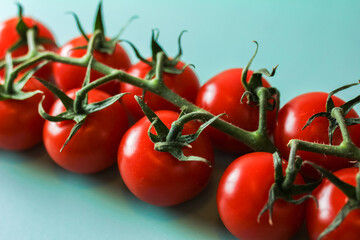 Red tomatoes on a branch close up, vegetables macro
