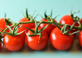 Branch with red tomatoes, side view, foreground