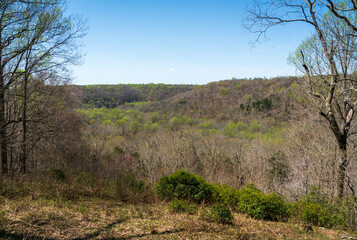 Overlook at Mammoth Cave National Park