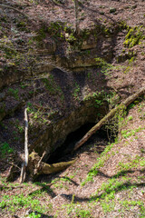 Above Ground at Mammoth Cave National Park