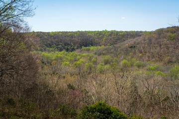 Fototapeta premium Overlook at Mammoth Cave National Park