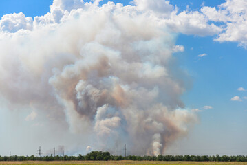 Fototapeta na wymiar Wildfire smoke against blue summer sky