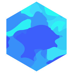 hexagon colorful background
