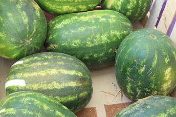 group of watermelons ready for sale-