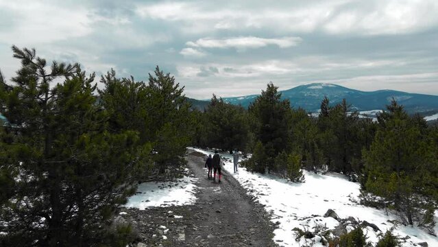Aerial shot. Drone follows the family of a woman and their children as they walk the down the mountain Goc, Serbia. 