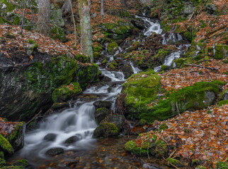 Prudky rucej creek with waterfall near confluence with Jizera river