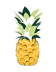 Pineapple isolated on white background. Vector fruit illustration.