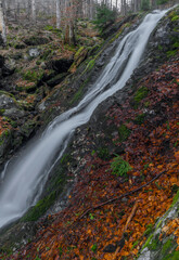 Obraz premium Prudky rucej creek with waterfall near confluence with Jizera river