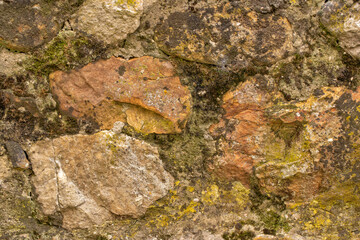 Background or texture of old wall with moss