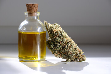 CBD oil with dry cannabis bud. Marihuana extract.