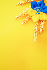 Ukraine background. Ukrainian flower trident symbol with wheat grain ear isolated on yellow banner. Flat lay, copy space.