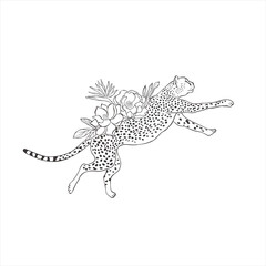 Cheetah with magnolia flowers on white background.