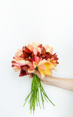 Girl holding a bouquet of fresh red-yellow tulips on a white background with copy space. Place for an inscription.