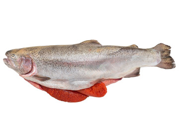 whole raw atlantic salmon with caviar isolated on white background