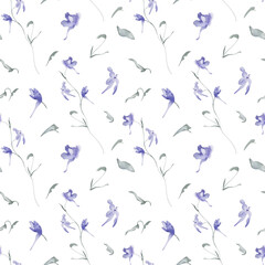 Watercolor Seamless Pattern Background with Meadow Flowers on White Background.