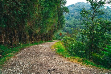 camino de la muerte
