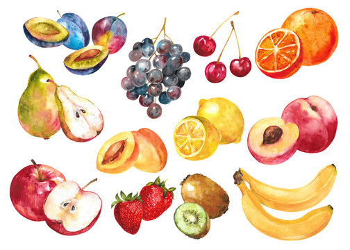 Watercolor composition of various fruits on a white background
