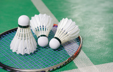 shuttlecock on badminton racket.