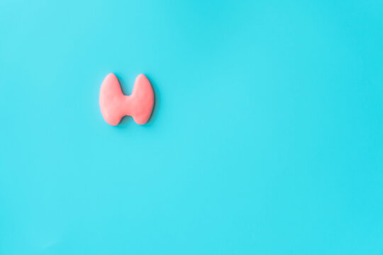 healthy thyroid gland on blue background
